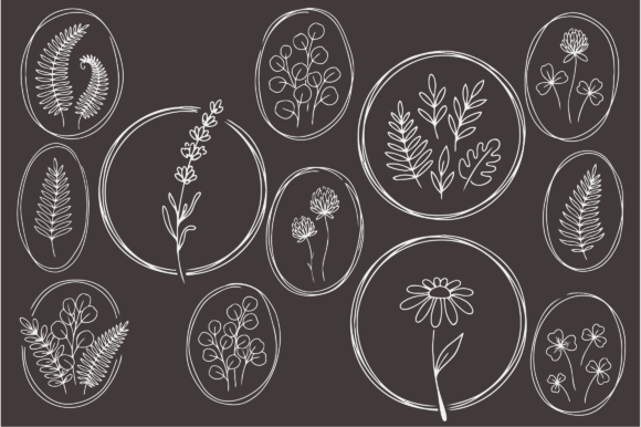 Download Botanical Floral Line Art Frames Bundle - Botanical Collection