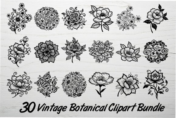 Download 30 Vintage Botanical Clipart Bundle - Botanical Collection