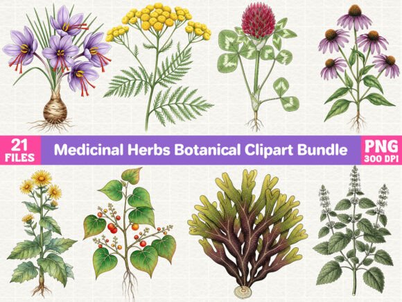 Download Medicinal Herbs Botanical Clipart Bundle - Botanical Collection