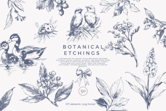 Download Botanical Clipart Vintage Illustration - Botanical Collection