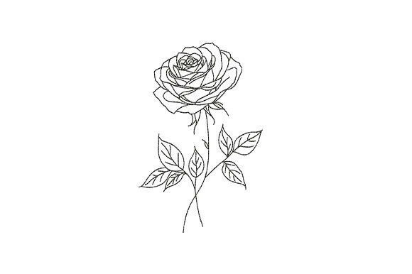 Download Minimal Rose Flower Botanical - Botanical Collection