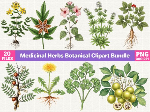 Download Medicinal Herbs Botanical Clipart Bundle - Botanical Collection